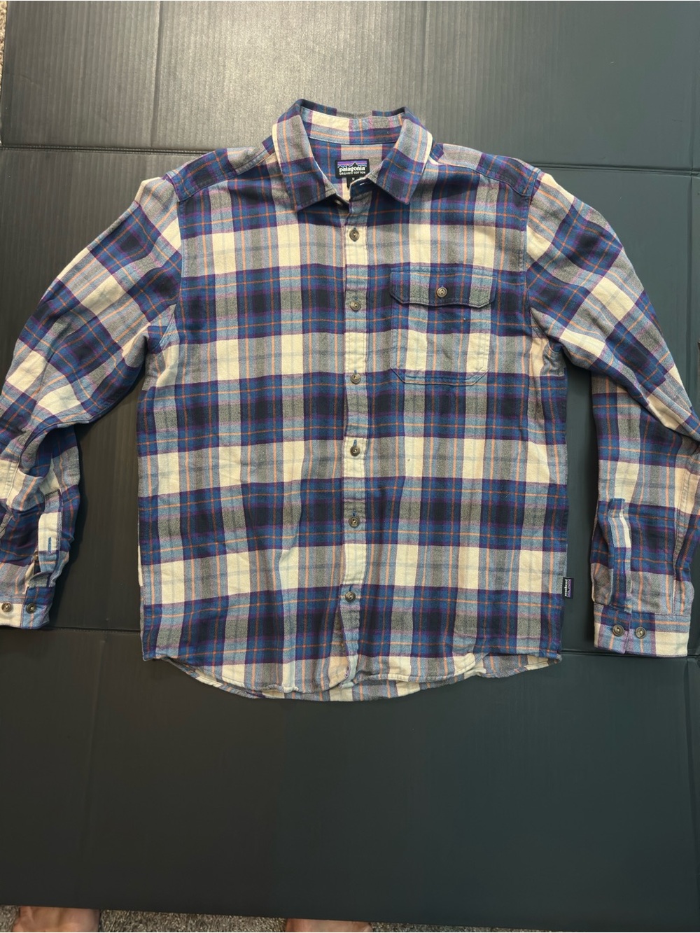 Patagonia Blue and White Plaid Button-Down Shirt